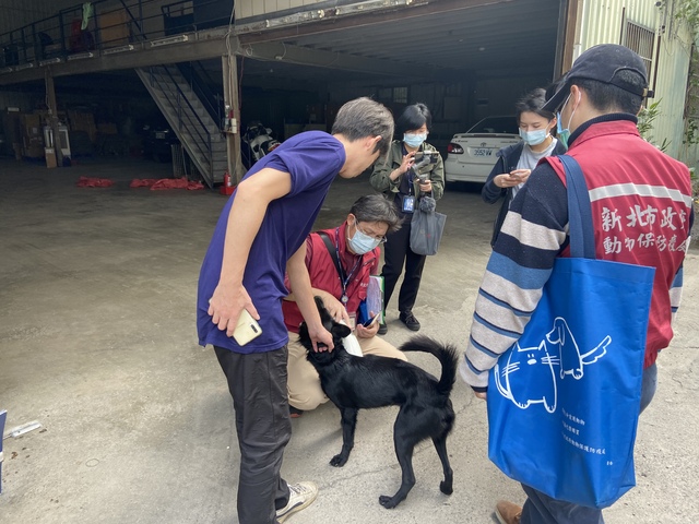 新北市政府動保處協助塭仔圳廠家飼養犬隻做好寵物登記管理。 