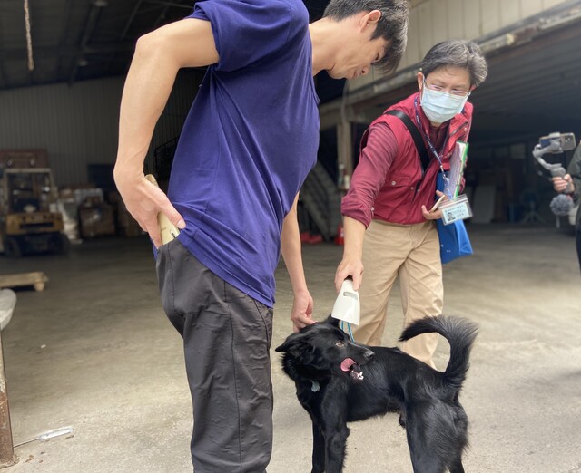 新北市政府動保處協助塭仔圳廠家飼養犬隻做好寵物登記管理。 